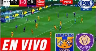 Tigres vs. Orlando City EN VIVO por la Liga de Campeones Concacaf 2023