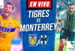 Tigres vs Monterrey EN VIVO Semifinal IDA Clausura 2023 Liga Nacional del Fútbol de México