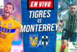 Tigres vs Monterrey EN VIVO Liga Nacional del Fútbol de México