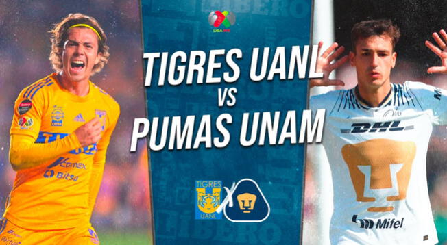 Tigres vs Pumas EN VIVO HOY en TV online y hora Vuelta Semifinal Liga ...