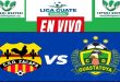 VER Zacapa vs Guastatoya EN VIVO Semifinal Ida Liga Guate Banrural
